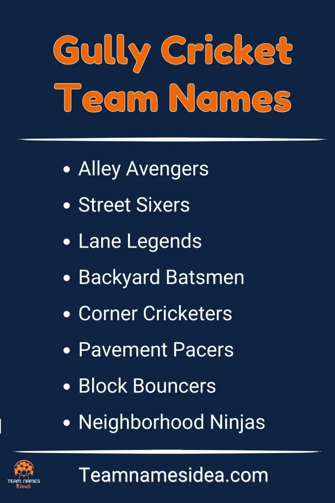 Gully Cricket Team Names